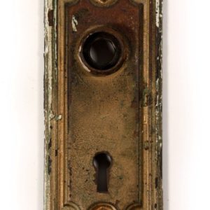 ndp44