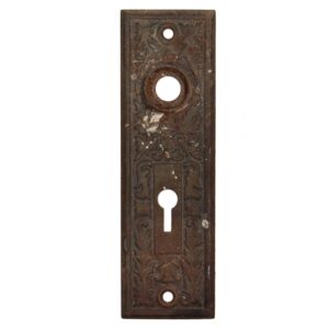 Antique Eastlake Doorplates with Leaves, Late 19th Century