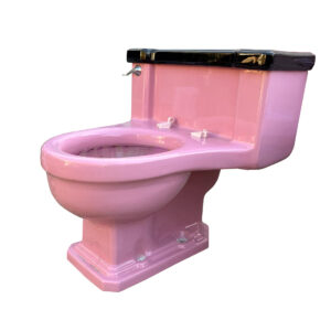 Vintage American Standard One-Piece Toilet in “Rose Du Barry” from Windsor, Lookout Mountain 